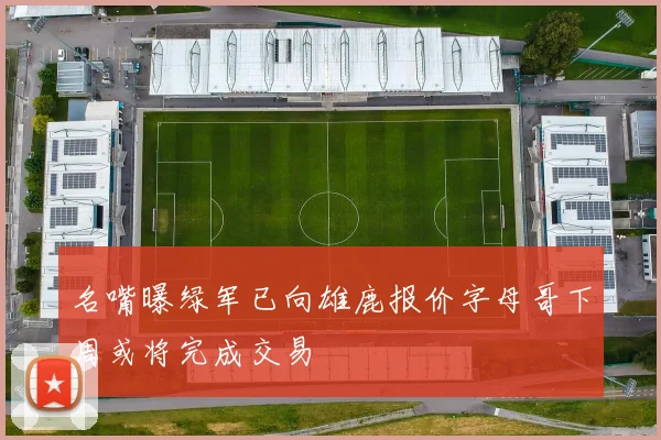 名嘴曝绿军已向雄鹿报价字母哥下周或将完成交易