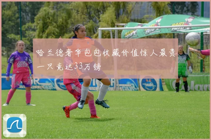 哈兰德奢华包包收藏价值惊人最贵一只竟达33万镑