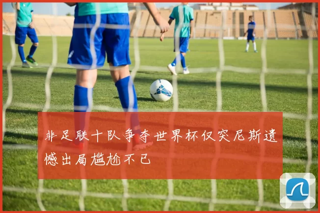 非足联十队争夺世界杯仅突尼斯遗憾出局尴尬不已