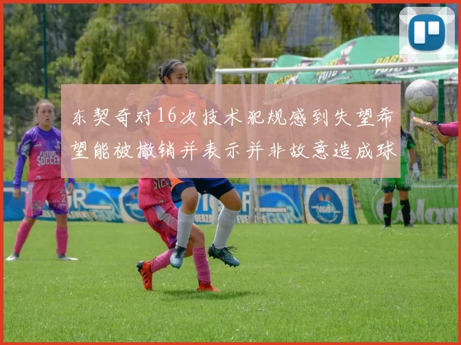 东契奇对16次技术犯规感到失望希望能被撤销并表示并非故意造成球队困扰